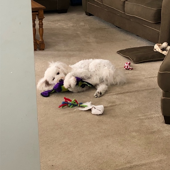 Meet your Posher, Sarah - Picture 1 of 1